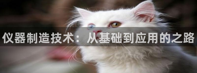 娱乐门徒好看么：仪器制造技术：从基础到应用的之路