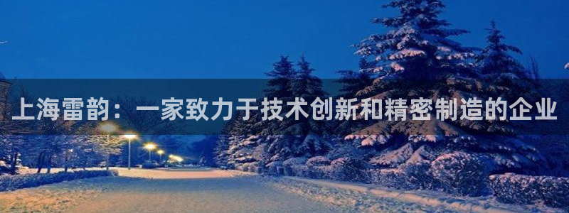蓝狮和门徒娱乐：上海雷韵：一家致力于技术创新和精密制造的企业