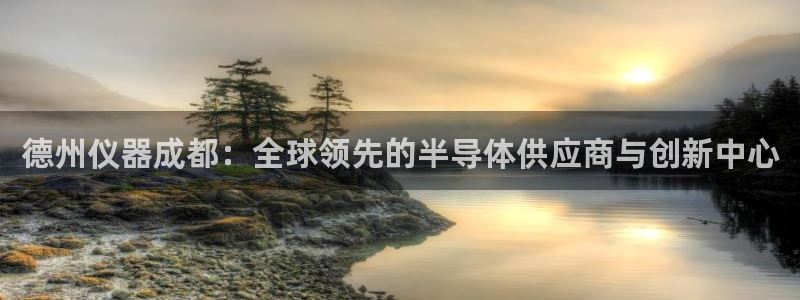 门徒娱乐平台网址是什么：德州仪器成都：全球领先的半导体供应商