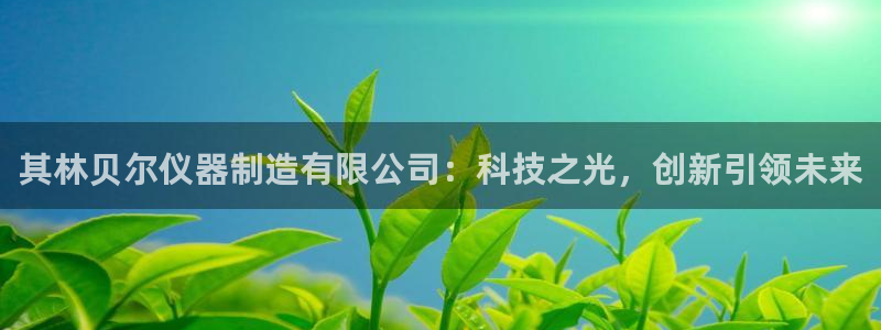 娱乐门徒免费阅读：其林贝尔仪器制造有限公司：科技之光，创新引