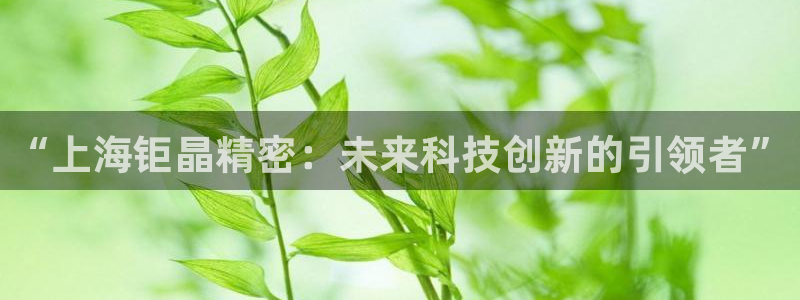 门徒娱乐总代理是谁呀：“上海钜晶精密：未来科技创新的引领者”