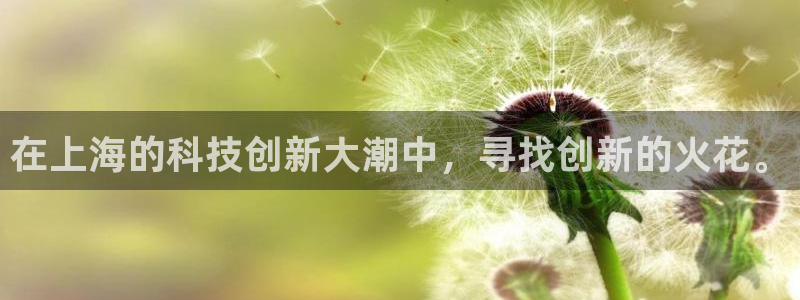 门徒娱乐怎么注册微信号：在上海的科技创新大潮中，寻找创新的火