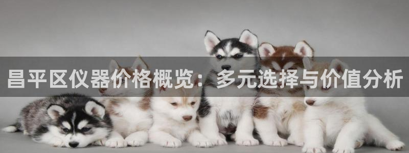 门徒娱乐 圈主管的是谁：昌平区仪器价格概览：多元选择与价值分