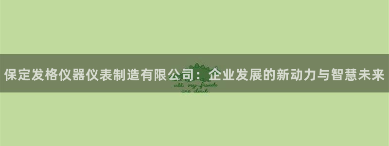 门徒娱乐平台注册地址：保定发格仪器仪表制造有限公司：企业发展