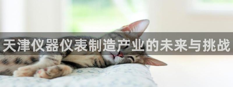 门徒娱乐平台介绍文案：天津仪器仪表制造产业的未来与挑战