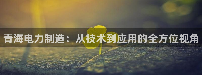 门徒娱乐开多少时间了：青海电力制造：从技术到应用的全方位视角