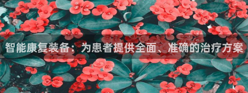 门徒娱乐测速地址：智能康复装备：为患者提供全面、准确的治疗方