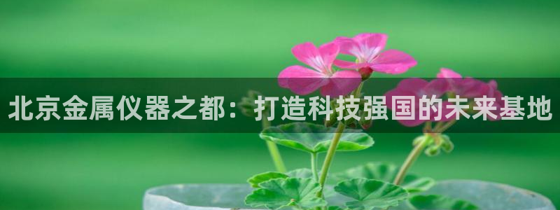 门徒娱乐挂机软件下载：北京金属仪器之都：打造科技强国的未来基
