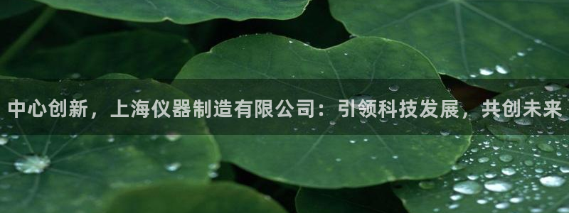 门徒娱乐线路图高清版：中心创新，上海仪器制造有限公司：引领科