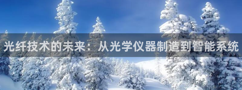 门徒娱乐服务器在哪里：光纤技术的未来：从光学仪器制造到智能系