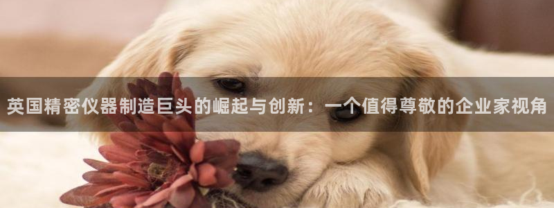 门徒娱乐联盟官网：英国精密仪器制造巨头的崛起与创新：一个值得