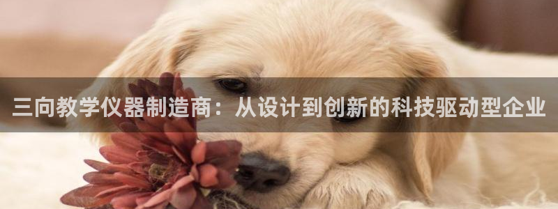 门徒娱乐系列有哪些游戏：三向教学仪器制造商：从设计到创新的科
