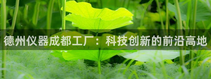 娱乐门徒电影文案：德州仪器成都工厂：科技创新的前沿高地