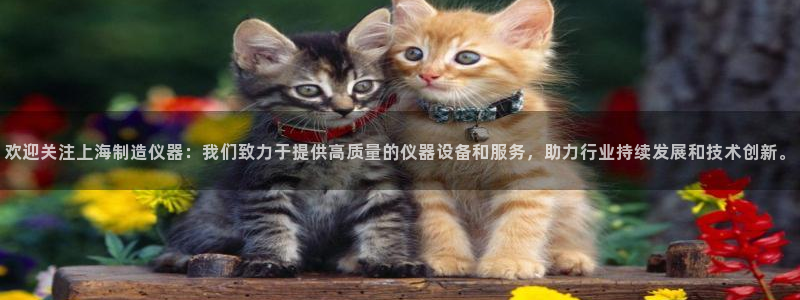 门徒娱乐是不是赌博软件：欢迎关注上海制造仪器：我们致力于提供