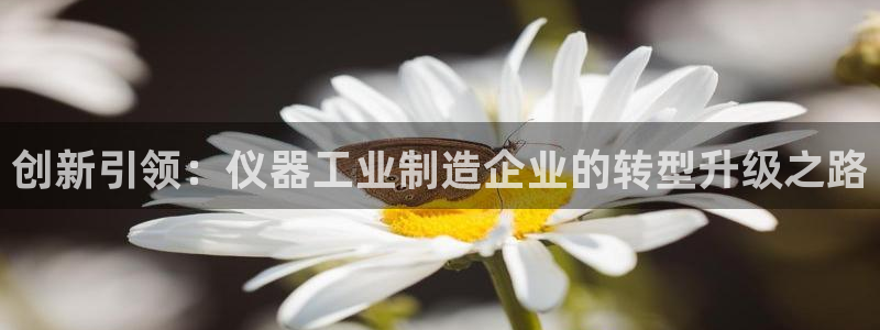 门徒娱乐提款一直处理中：创新引领：仪器工业制造企业的转型升级