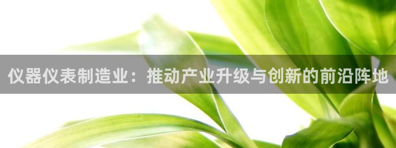 门徒娱乐注册在唐老鸭779O3：仪器仪表制造业：推动产业升级