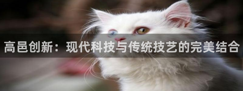 娱乐门徒登录网站：高邑创新：现代科技与传统技艺的完美结合
