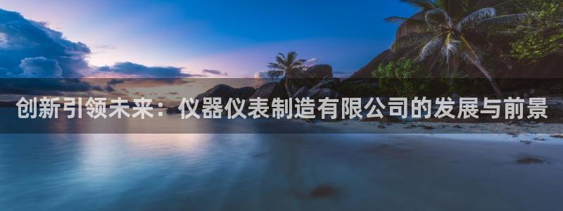 门徒娱乐后指尖：创新引领未来：仪器仪表制造有限公司的发展与前