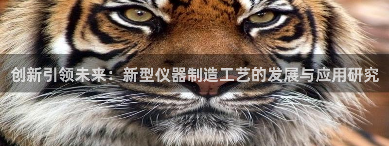 门徒娱乐计划在线观看：创新引领未来：新型仪器制造工艺的发展与