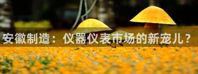 门徒娱乐集团是干嘛的：安徽制造：仪器仪表市场的新宠儿？