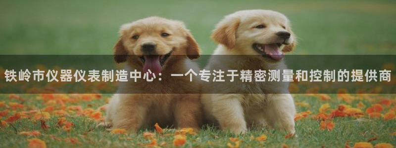 门徒彩票娱乐平台太阳：铁岭市仪器仪表制造中心：一个专注于精密
