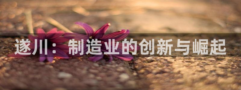 万国觉醒娱乐门徒攻略图：遂川：制造业的创新与崛起