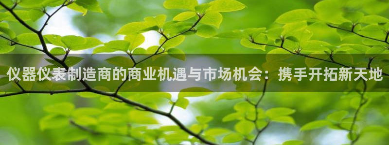 门徒娱乐系究7276O：仪器仪表制造商的商业机遇与市场机会：