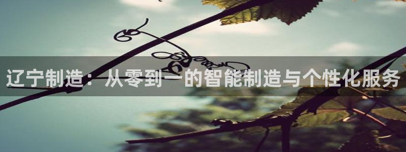 门徒娱乐总代理：辽宁制造：从零到一的智能制造与个性化服务