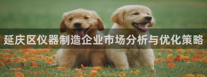 门徒娱乐登录网址大全：延庆区仪器制造企业市场分析与优化策略