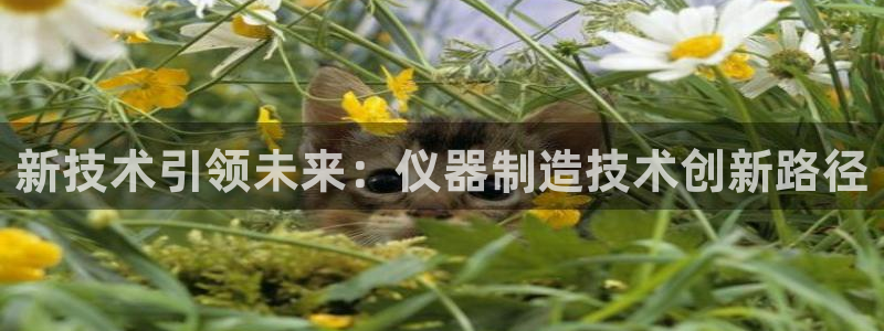 门徒娱乐主管39977l6主管：新技术引领未来：仪器制造技术