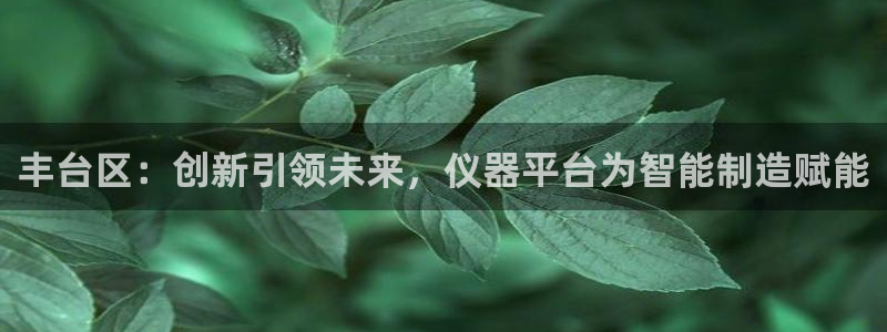 举报门徒娱乐赌博：丰台区：创新引领未来，仪器平台为智能制造赋