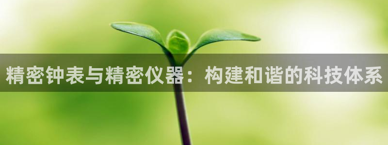 蓝狮和门徒娱乐区别在哪：精密钟表与精密仪器：构建和谐的科技体