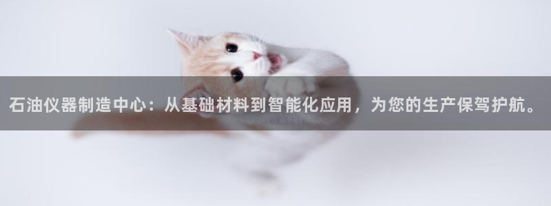 门徒娱乐挂机：石油仪器制造中心：从基础材料到智能化应用，为您