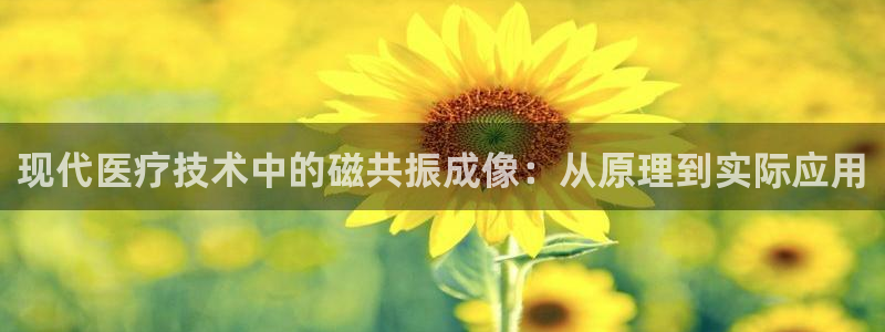 门徒娱乐注册在唐老鸭779O3：现代医疗技术中的磁共振成像：