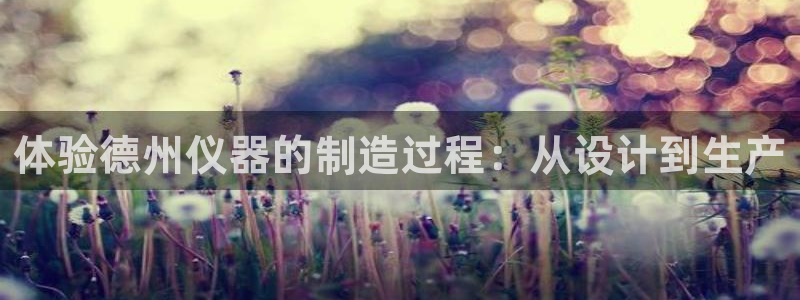 门徒娱乐巾67五壹叁八：体验德州仪器的制造过程：从设计到生产