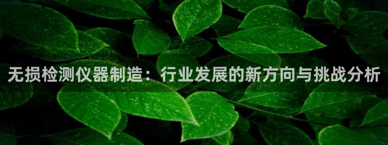 门徒娱乐发展趋势是什么：无损检测仪器制造：行业发展的新方向与