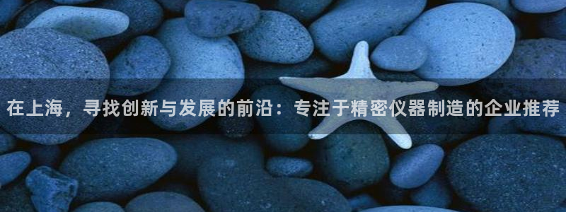 门徒娱乐软件有哪些好用：在上海，寻找创新与发展的前沿：专注于