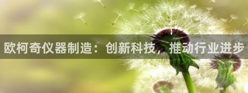 门徒娱乐在线：欧柯奇仪器制造：创新科技，推动行业进步