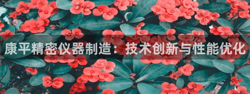 门徒娱乐主管：康平精密仪器制造：技术创新与性能优化