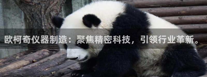 门徒娱乐是真假的：欧柯奇仪器制造：聚焦精密科技，引领行业革新