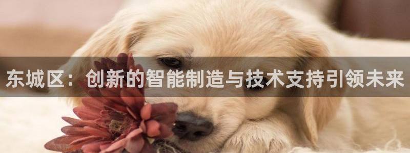 门徒娱乐是不是骗子