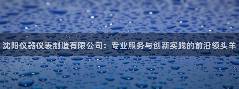 门徒娱乐开奖平台：沈阳仪器仪表制造有限公司：专业服务与创新实