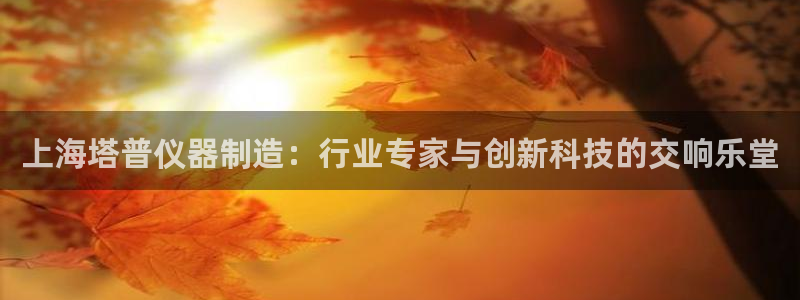 门徒娱乐盈利方法：上海塔普仪器制造：行业专家与创新科技的交响