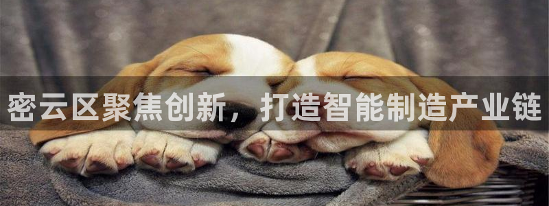 门徒娱乐登录注册：密云区聚焦创新，打造智能制造产业链