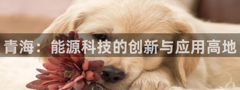 门徒娱乐老板是谁呀：青海：能源科技的创新与应用高地