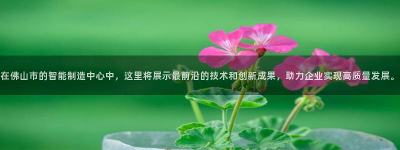 门徒娱乐什么平台直播好：在佛山市的智能制造中心中，这里将展示