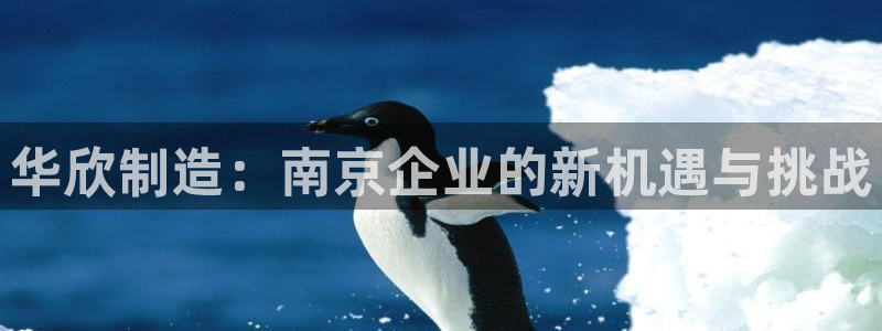 门徒娱乐注册分听判官333OO：华欣制造：南京企业的新机遇与