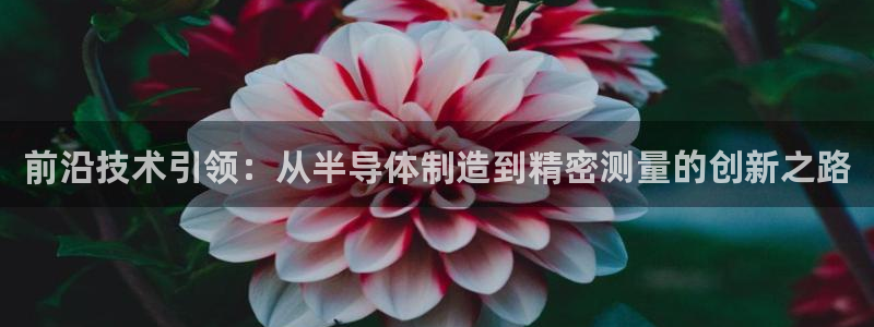 门徒娱乐平台信誉怎样评：前沿技术引领：从半导体制造到精密测量