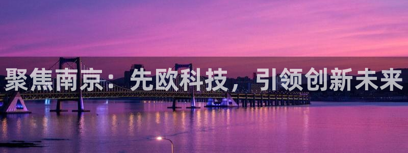 门徒第娱乐首页：聚焦南京：先欧科技，引领创新未来