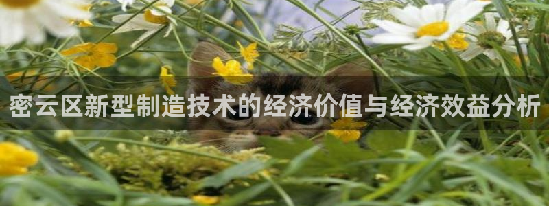 门徒娱乐招商：密云区新型制造技术的经济价值与经济效益分析